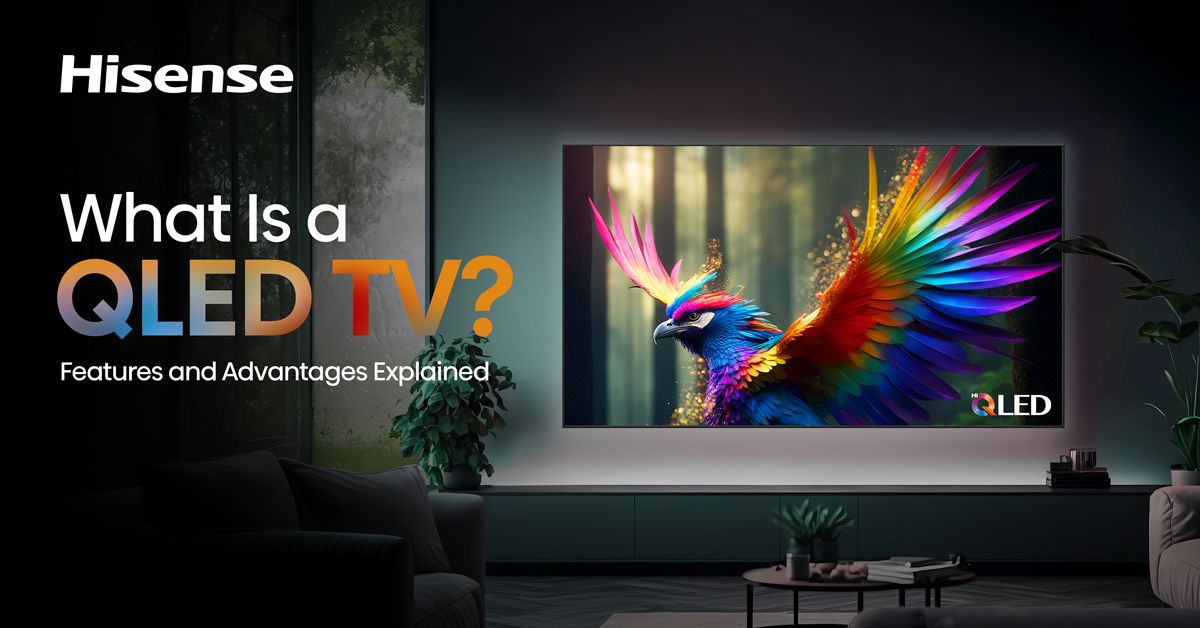 Hisense QLED TV displaying vibrant colors with a colorful bird, explaining what a QLED TV is & its features & advantages