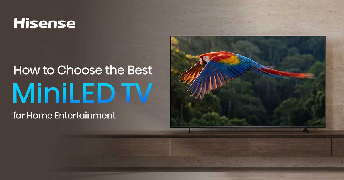 Hisense MiniLED TV displaying a colourful flying bird scene in a modern living room setup for home entertainment